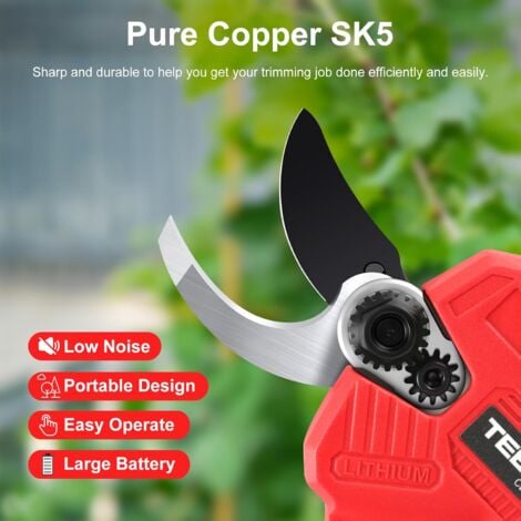 TEENO Sécateur Électrique Sans Fil 21V